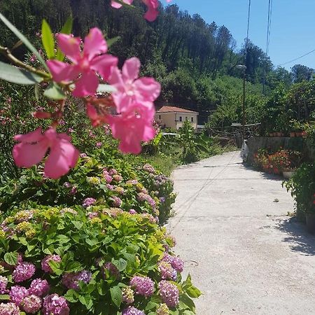 Casa Nonna Anna Villa Maiori Ngoại thất bức ảnh