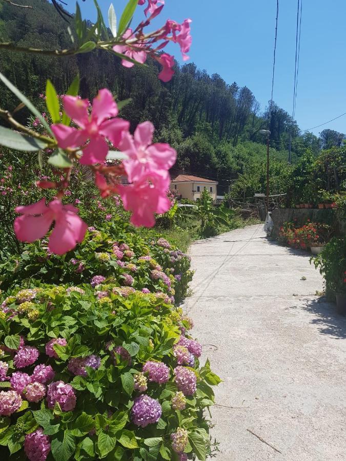 Casa Nonna Anna Villa Maiori Ngoại thất bức ảnh