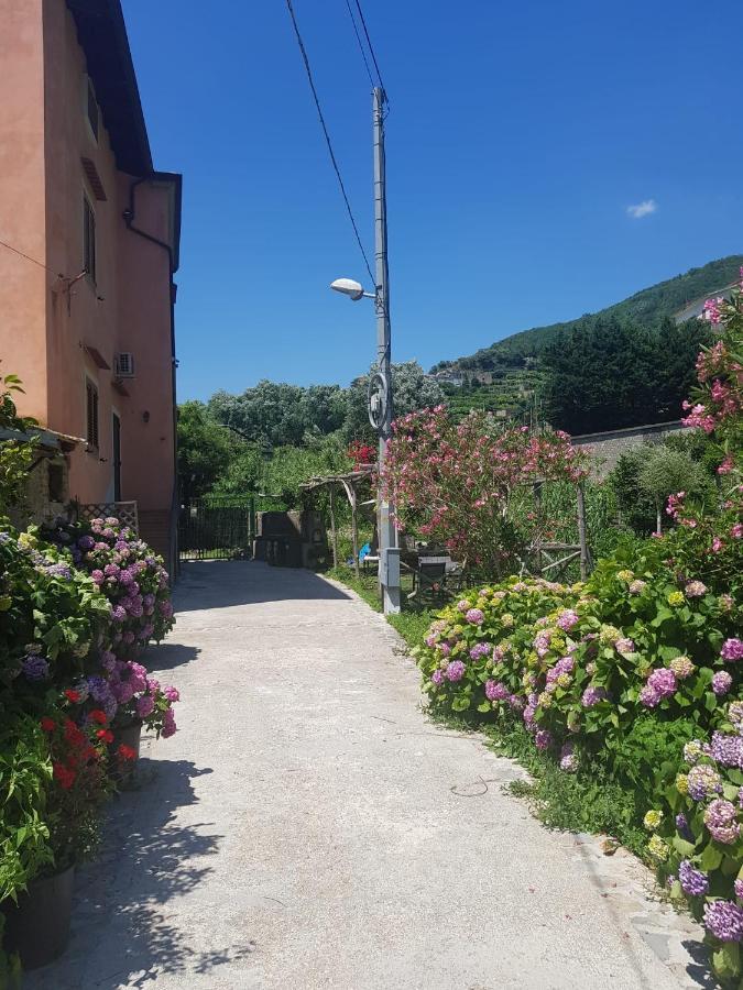 Casa Nonna Anna Villa Maiori Ngoại thất bức ảnh